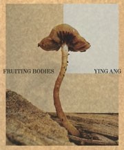 FRUITING BODIES