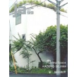 JA 99. KAZUYO SEJIMA. Living Space | 4910051331052 | Japan Architect magazine