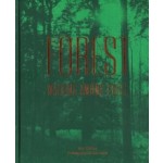 Forest. Walking among trees | Matt Collins, photography by Roo Lewis | 9781911595267 | Pavilion Books