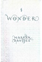 I Wonder | Marian Bantjes | 9780500294383 | Thames & Hudson